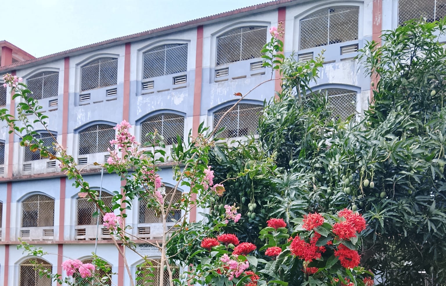Kalinagar College